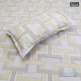 procian premium pure cotton printed king size bedsheet